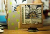 Believe Daisy Card