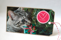 Christmas Cat Tag