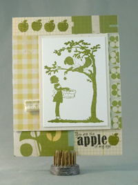Apple of My Eye