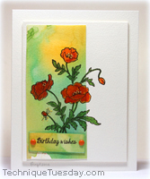 Birthday Wishes Card