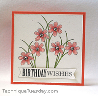 Birthday Wishes Greenhouse Card