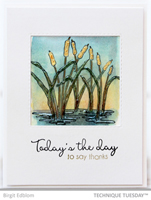 Today Cattails