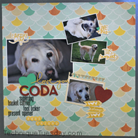 Coda Layout