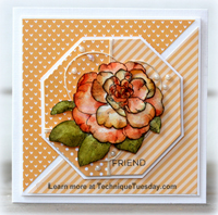 Friend Camellia