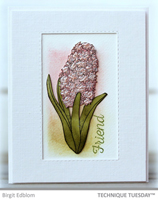 Friend Hyacinth
