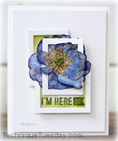 Here For You Anemone Card