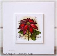 Merry Christmas Poinsettia Card