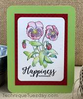Pansy Happiness