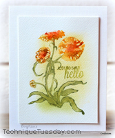 Say Hello Greenhouse Card