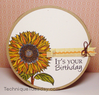 Sunflower Birthday Circle