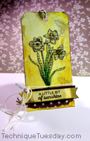 Sunshine Tag