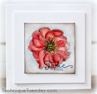 Take Care Anemone Card