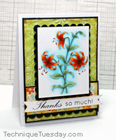 Thanks Card Greenhouse