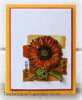 Wishes Sunflower Card