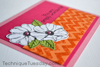 Wonderful Anemone Card