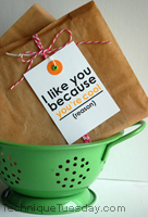 You're Cool Gift Tag