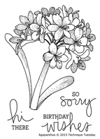 Agapanthus - Greenhouse Society