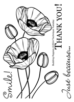 Budding Poppies