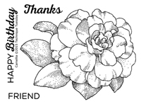 Camellia - Greenhouse Society - Sep 2015