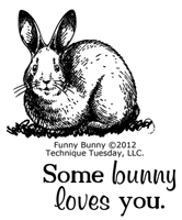 Funny Bunny