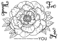 BRAND NEW - Gallica Rose - Greenhouse Society - July 2016