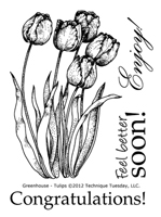 Tulips - Greenhouse Society