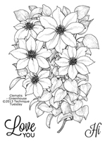 Clematis - Greenhouse Society