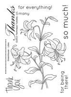 Lilies - Greenhouse Society