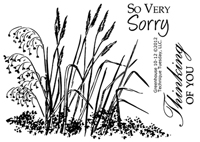 Greenhouse Society 10-12