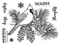Pine Bough - Greenhouse Society