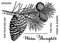 Pinecone - Greenhouse Society