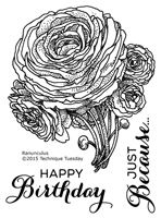 Ranunculus - Greenhouse Society