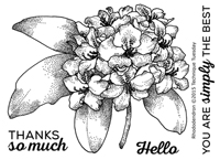 Rhododendron - Greenhouse Society March 2015