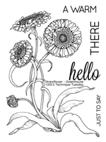 Strawflower - Greenhouse Society