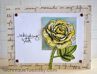 Thinking of You Rose Card