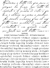 Verbose