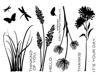 Wildflowers