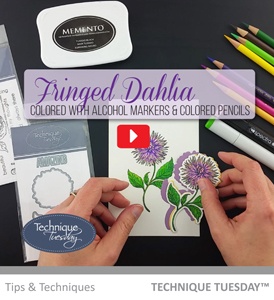 Fringed Dahlia Coloring - Tips & Technique Video