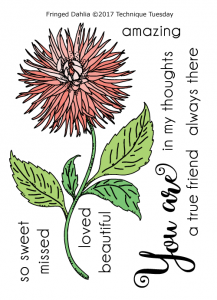 Fringed Dahlia Stamp Set