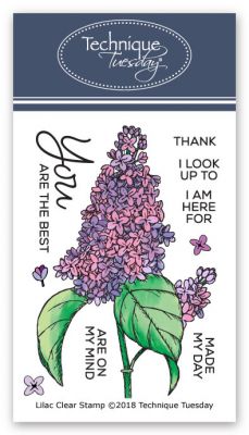Technique Tuesday Flowers for Her Clear Acrylic Stamps