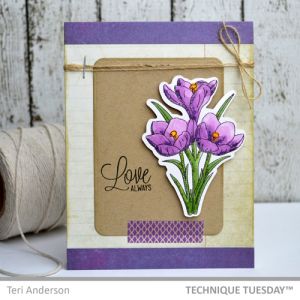 Purple Crocus